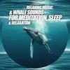 Relaxing Music & Whale Sounds for Meditation, Sleep & Relaxation album lyrics, reviews, download