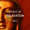 Spirit Of Relaxation, Vol. 2 (Anti Stress Relaxing Meditation Music) - Various Artists