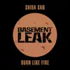 Stream & download Burn Like Fire - Single