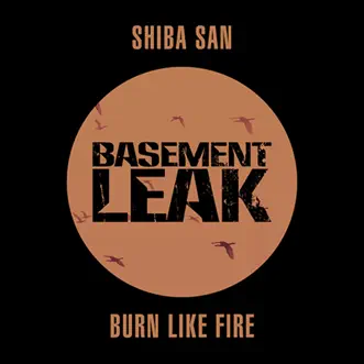 Burn Like Fire - Single by Shiba San album reviews, ratings, credits