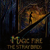 The Stray Birds - Radio