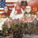 Roller Skates - Steel Pulse