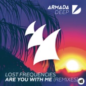 Are You with Me (Dash Berlin Remix) artwork