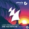 Are You with Me (Dash Berlin Remix) artwork