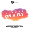 A Year On a Fly