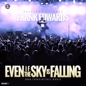 Even If the Sky Is Falling artwork