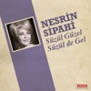 Nesrin Sipahi - Süzül Güzel Süzül de Gel