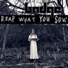 Reap What You Sow (Radio Edit)