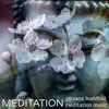 Meditation - Nirvana Buddhist Meditation Music for Peace album lyrics, reviews, download