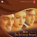 Kavita Krishnamurthy, Mohammed Salamat & Dominique - Hum Dil De Chuke Sanam