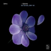 Zelenka: Sei sonate artwork