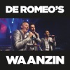 Waanzin - Single