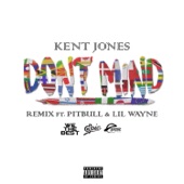 Don't Mind (Remix) [feat. Pitbull & Lil Wayne] artwork