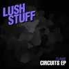 Stream & download Circuits - Single