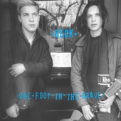 One Foot in the Grave (Deluxe Reissue) artwork
