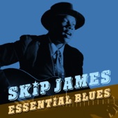 Skip James - Devil Got My Woman