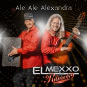 Ale Ale Alexandra (feat. Ritmo 69) artwork