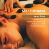 Spa and Relaxation, Vol. 3 artwork