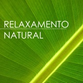 Relaxamento Natural - Sons da Natureza para Sessões de Yoga Meditação artwork