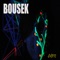 Brote - Bousek lyrics