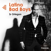 Latino Bad Boys artwork