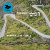 Christian Wallumrød Ensemble - Kurzsam und Onward