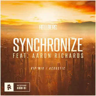 Synchronize (VIP Mix / Acoustic) [feat. Aaron Richards] - Single by Hellberg album reviews, ratings, credits