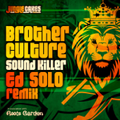 Sound Killer (Ed Solo Remix) - Brother Culture