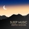 Slow Wave Sleep - Frank Easy lyrics