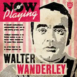 Now Playing Walter Wanderley - Walter Wanderley