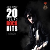 Sek Loso 20 Years Rock Hits artwork