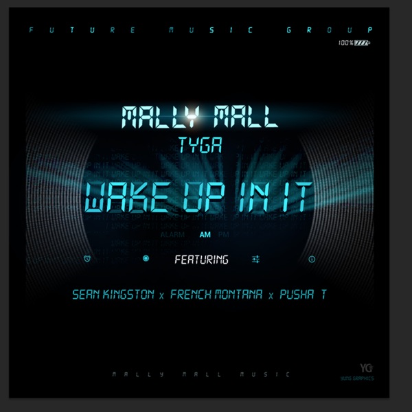 Wake Up In It (feat. Sean Kingston, French Montana & Pusha T) - Single - Mally Mall & Tyga