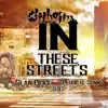 In These Streets (feat. Sean Price, Prodigal Sunn & DJ Des) - Single album lyrics, reviews, download