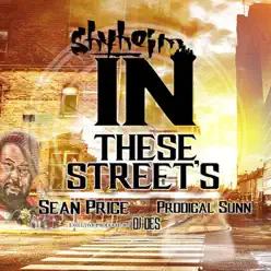 In These Streets (feat. Sean Price, Prodigal Sunn & DJ Des) - Single - Shyheim In These Streets (feat. Sean Price, Prodigal Sunn & DJ Des) - Single - Shyheim