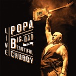 Popa Chubby - Working Class Blues