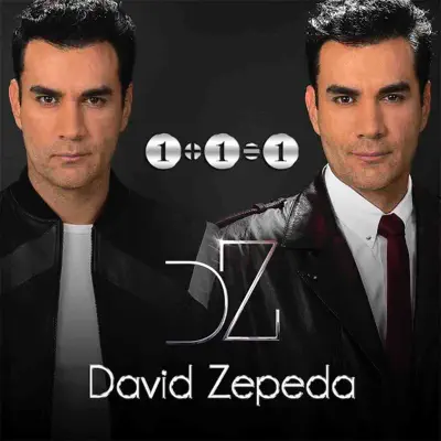 1+1=1 - David Zepeda