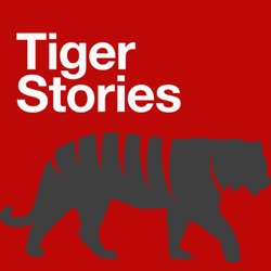 Tiger Stories for Kids
