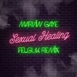 Sexual Healing (Felguk Remix) - Single - Marvin Gaye