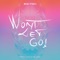 Won't Let Go (feat. David Blank) [Aquadrop Remix] - Big Fish lyrics