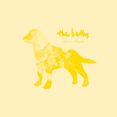 The Beths - Idea / Intent