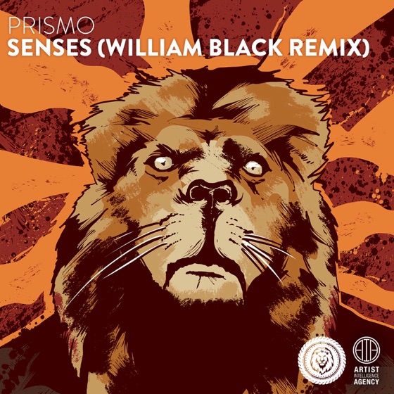 Cover artwork for Senses