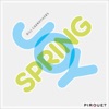 Joy Spring (feat. Drew Gress & Bill Stewart)