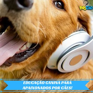 Como Lidar com Cães Possessivos