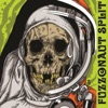 Fuzzonaut Split - Single, 2015