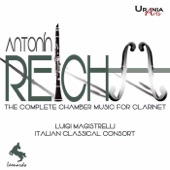 Clarinet Quintet in B-Flat Major, Op. 89: III. Menuetto. Allegro artwork