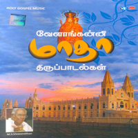 Various Artists - Velankanni Matha Thirupadalkal artwork