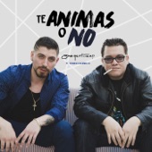 Te Animas o No (feat. Franco Escamilla) artwork