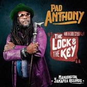 The Lock and the Key (Rub a Dub Version) artwork