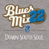 Blues Mix, Vol. 22: Down South Soul