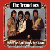 The Tremeloes - Ain't Nothing but a House Party